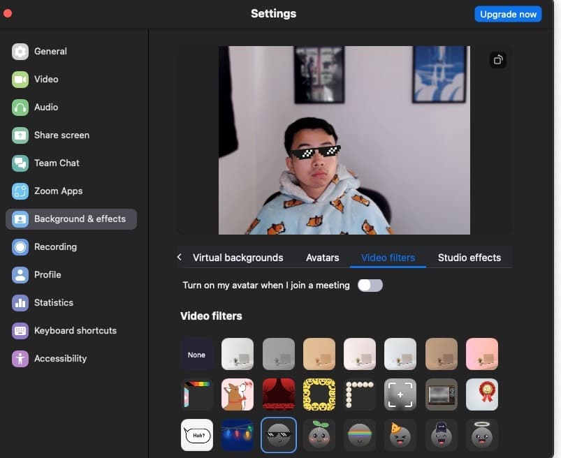 Zoom video filters